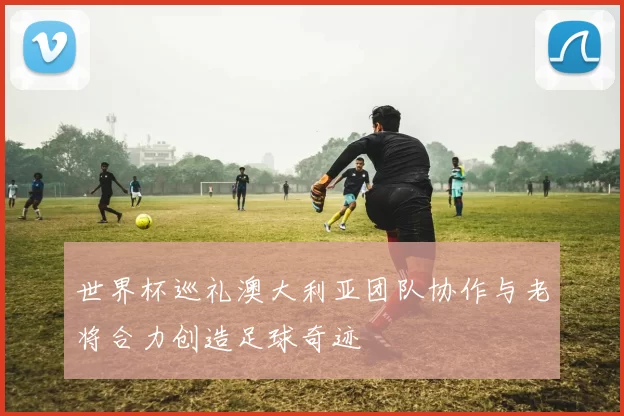 世界杯巡礼澳大利亚团队协作与老将合力创造足球奇迹